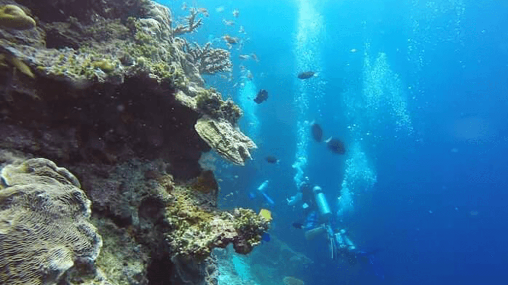 Погружение вдоль стены Погружение вдоль стены