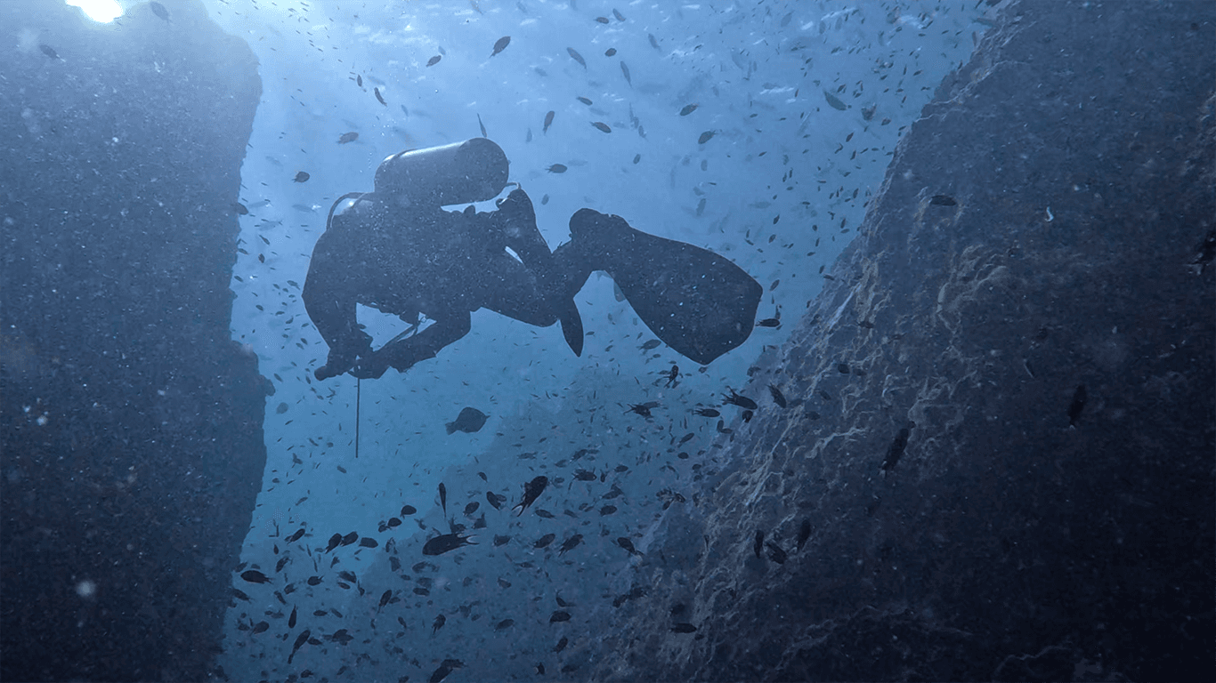 Дайвер Дайвер и рыбки