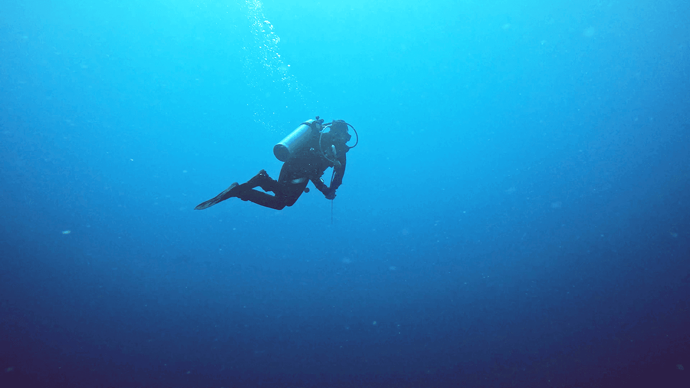 А ещё будут дайверы А ещё будут дайверы