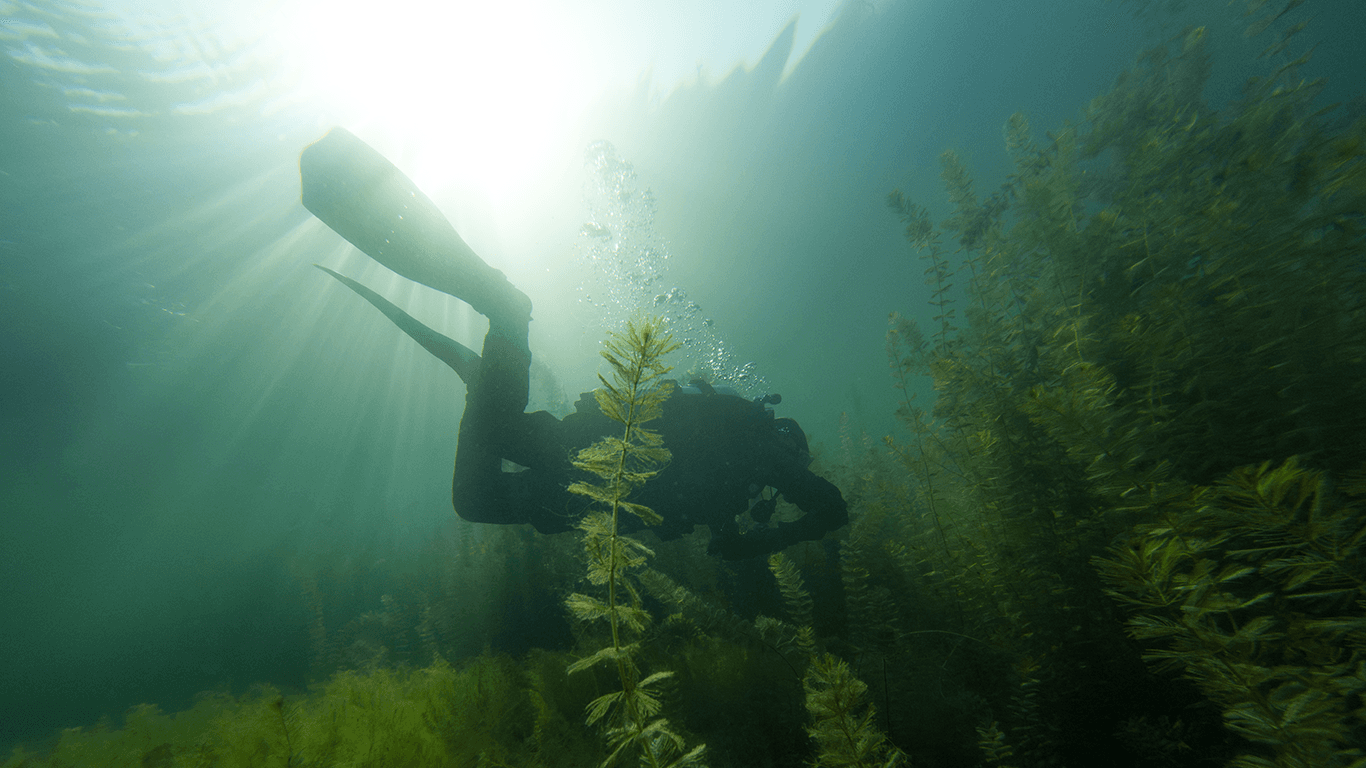 Dry Suit: дайвинг в сухом костюме